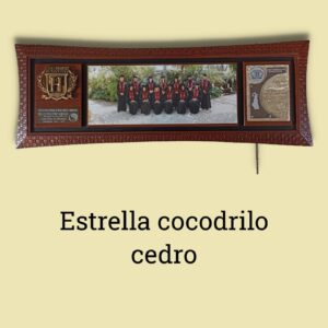 paquetes de graduación